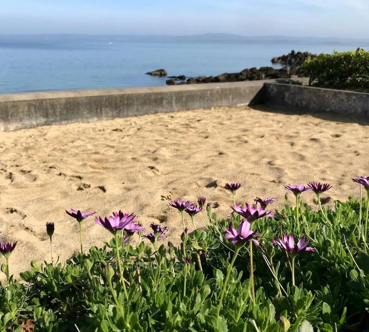 Lägenhet Paradis No Grenze Magnique Vue Mer Douarnenez